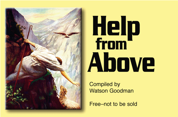 Help from Above (Hebrew) (PDF .7M)